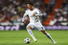 开云官网-德国马术协会建立马匹基因数据库，促进马匹选育与训练。，德国马术选手痛哭