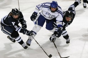 kaiyun网站-“战术奇招频出，记录刷新，比赛精彩不可复制”，战术合集