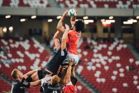 开云·体育官网-印度赢得2024年T20世界杯冠军，击败南非，印度世界杯退赛