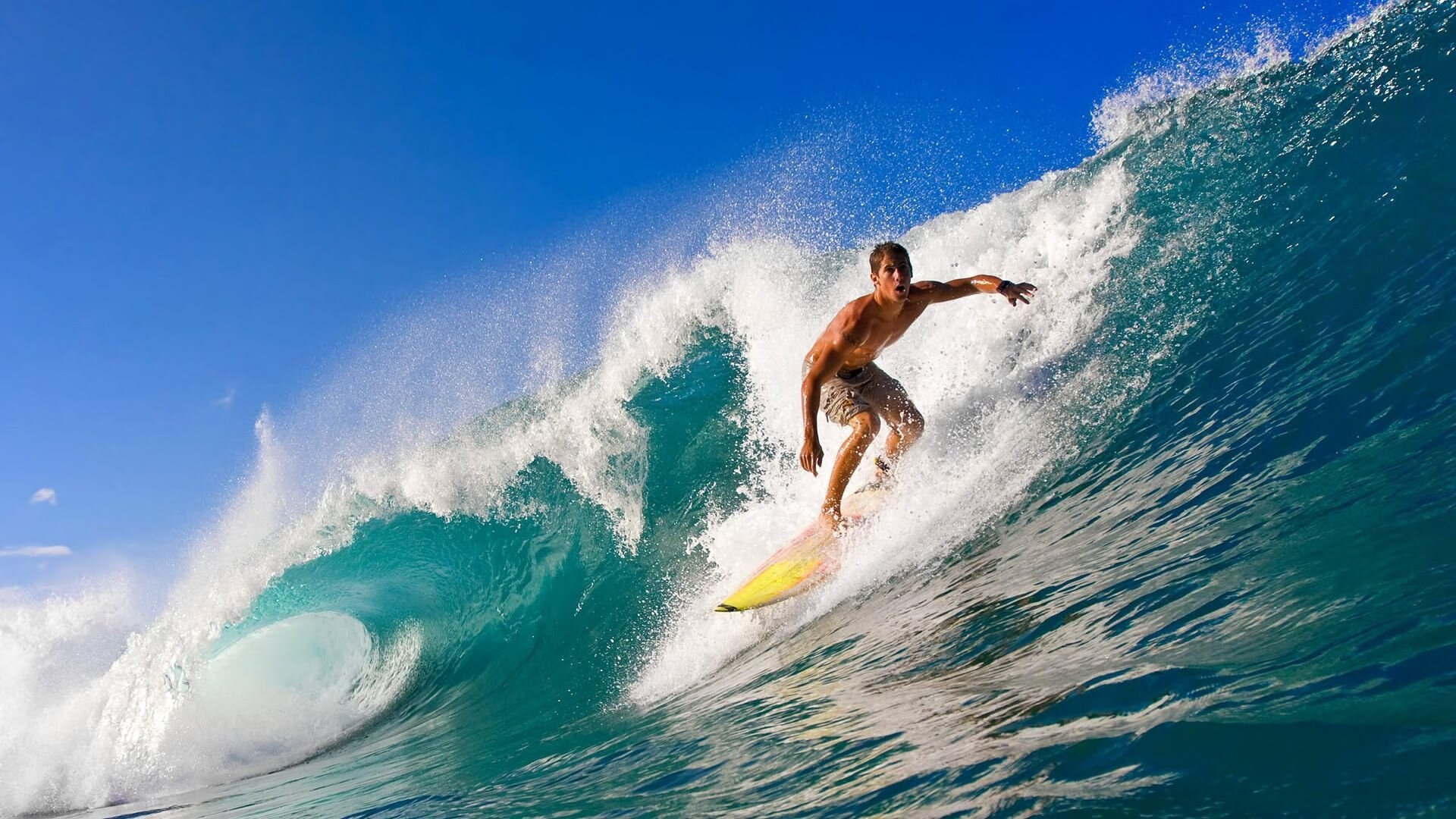 _运动健康产业峰会:科技引领运动新未来_,运动健康医疗