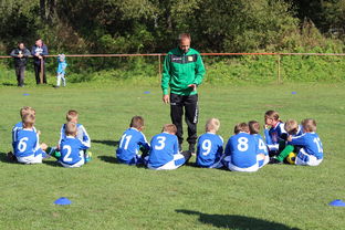 开云体育手机-中国篮球教练员战术创新与应用能力提升路径探索，全国篮球教练员岗位培训